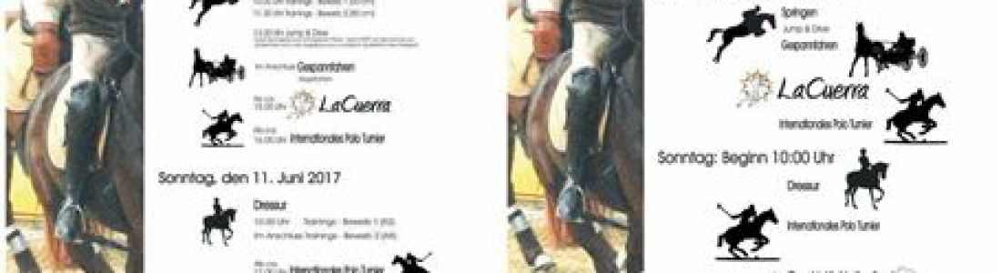 Markersdorfer Pferdetage 10. – 11. Juni 2017 Markersdorfer Pferdetage 10. – 11. Juni 2017